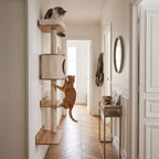 Arbre à Chat Mural 150cm — Parcours Escalade 5 Niveaux & Hamac | Muraï