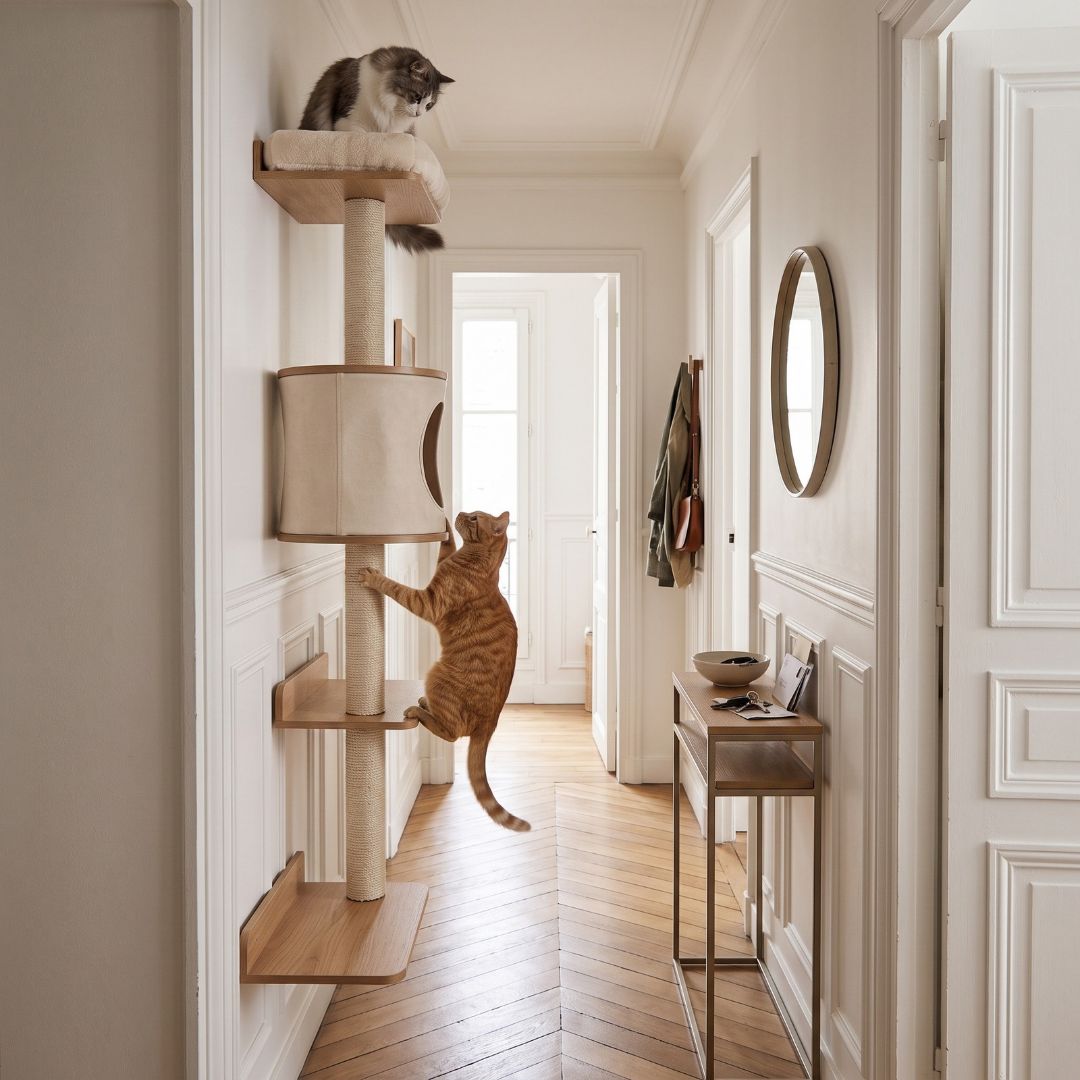 Arbre à Chat Mural 150cm — Parcours Escalade 5 Niveaux & Hamac | Muraï