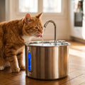 Fontaine à Eau pour Chat en Inox — Silencieuse & Facile à Nettoyer | Source