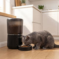 Distributeur Automatique de Croquettes 4L — Anti-Insectes & Bol Inox | Miam
