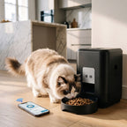 Distributeur Automatique Connecté WiFi — Contrôle par App | Tempo