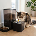 Distributeur de Croquettes 2-en-1 6L + Fontaine 2,5L — Connecté WiFi | Nourri