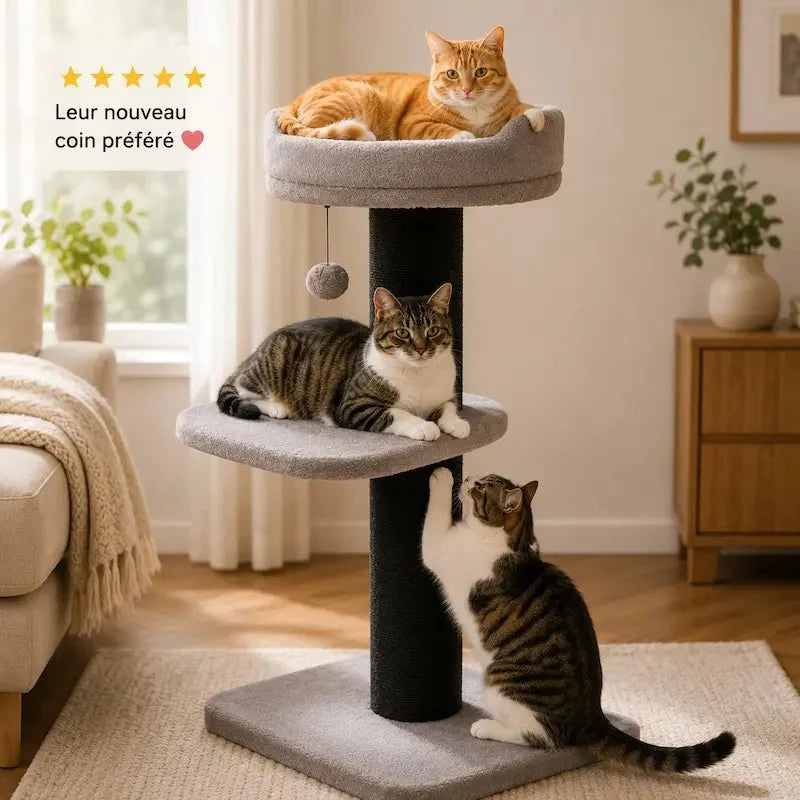 Arbre à chat avec griffoir - Anti griffes canapés | ChatZen