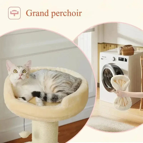 Arbre à chat avec griffoir - Anti griffes canapés | CatZen