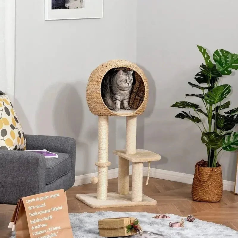 Arbre à chat avec panier - Confort assuré | Félinest