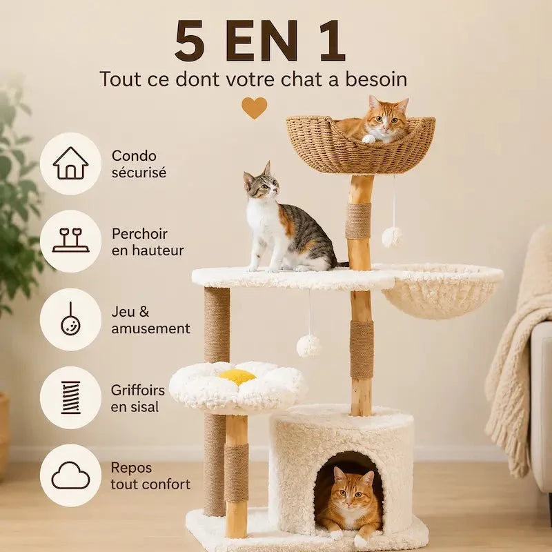 Arbre à chat bois massif avec condo - Confort | Felys