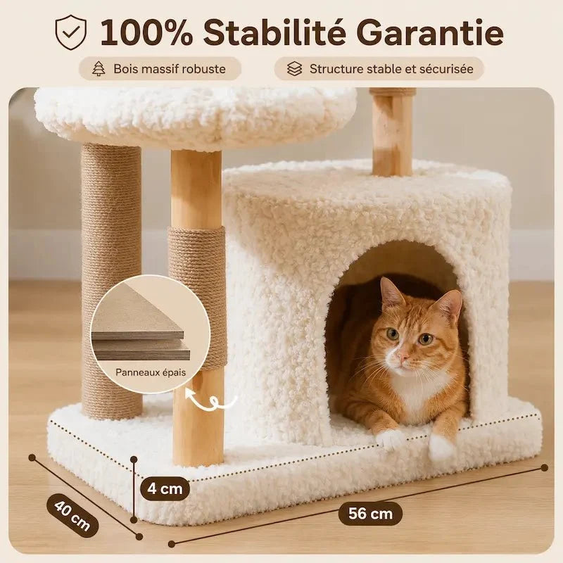 Arbre à chat bois massif avec condo - Confort | Felys