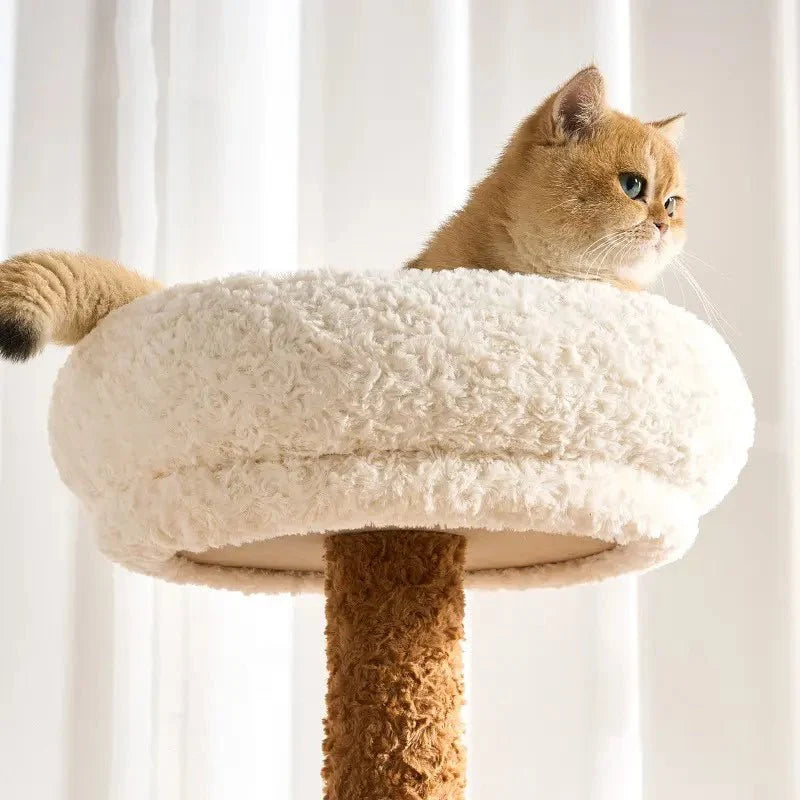 Arbre à chat cosy - Confort premium | CozyNest