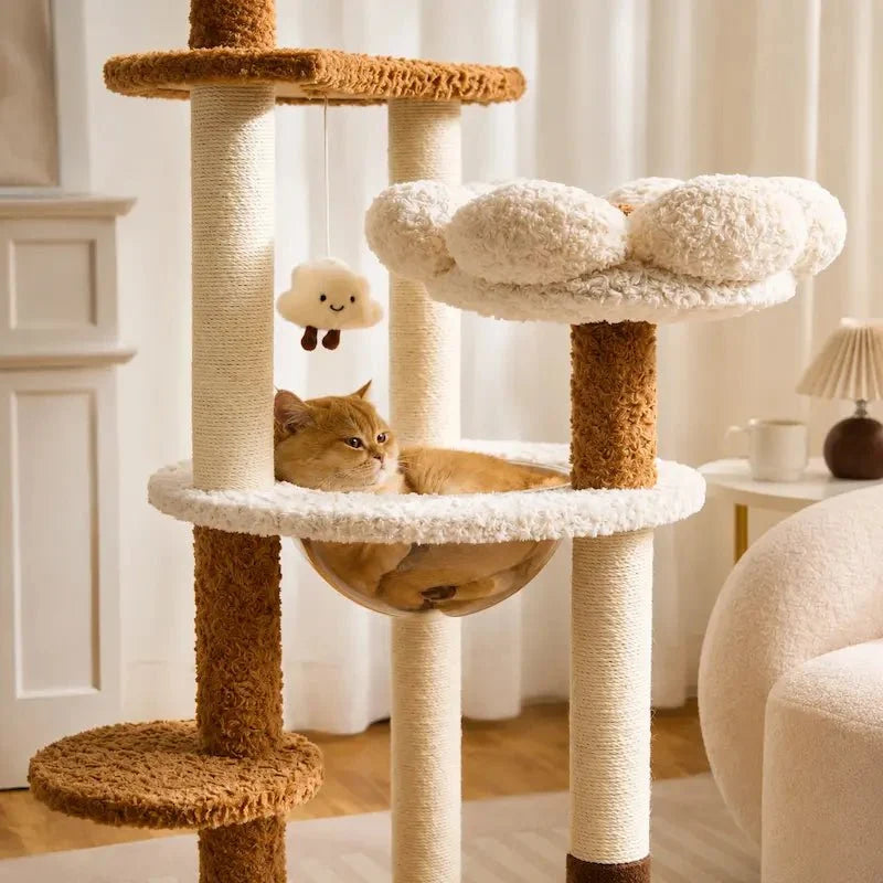 Arbre à chat cosy - Confort premium | CozyNest