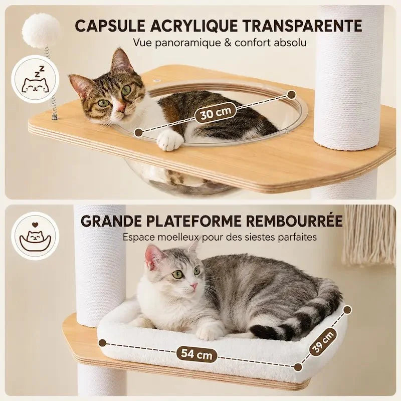 Arbre à chat du sol au plafond - Stable | CatVera
