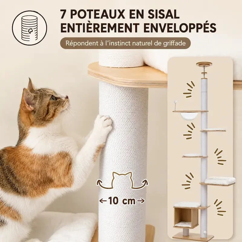 Arbre à chat du sol au plafond - Stable | CatVera