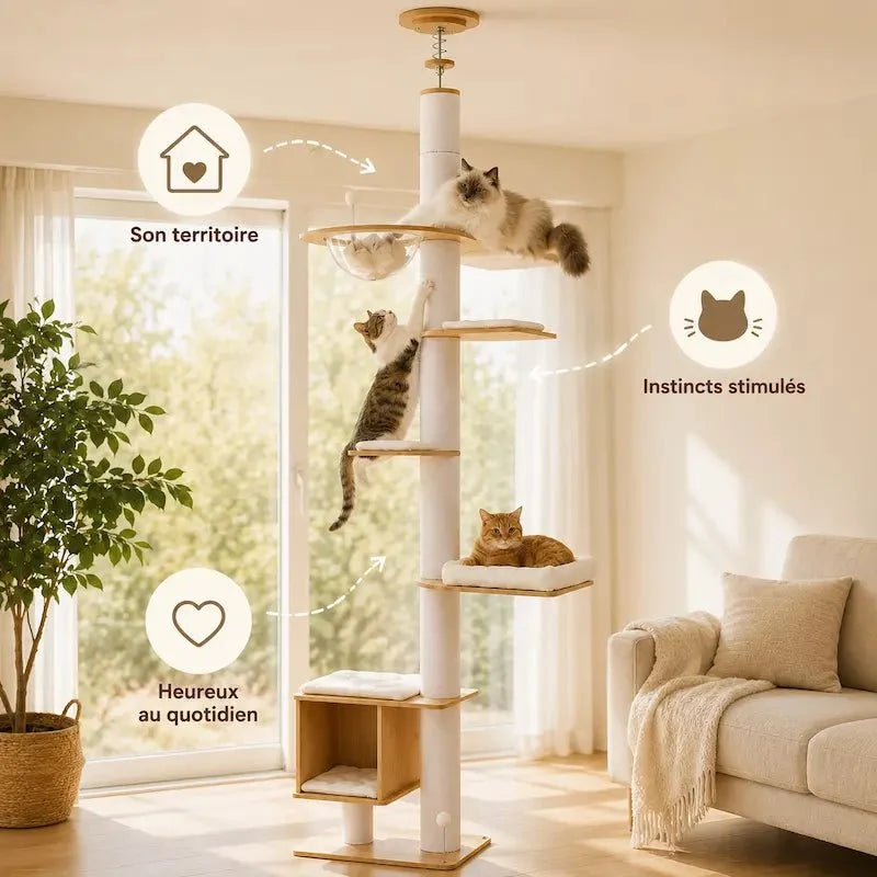 Arbre à chat du sol au plafond - Stable | CatVera