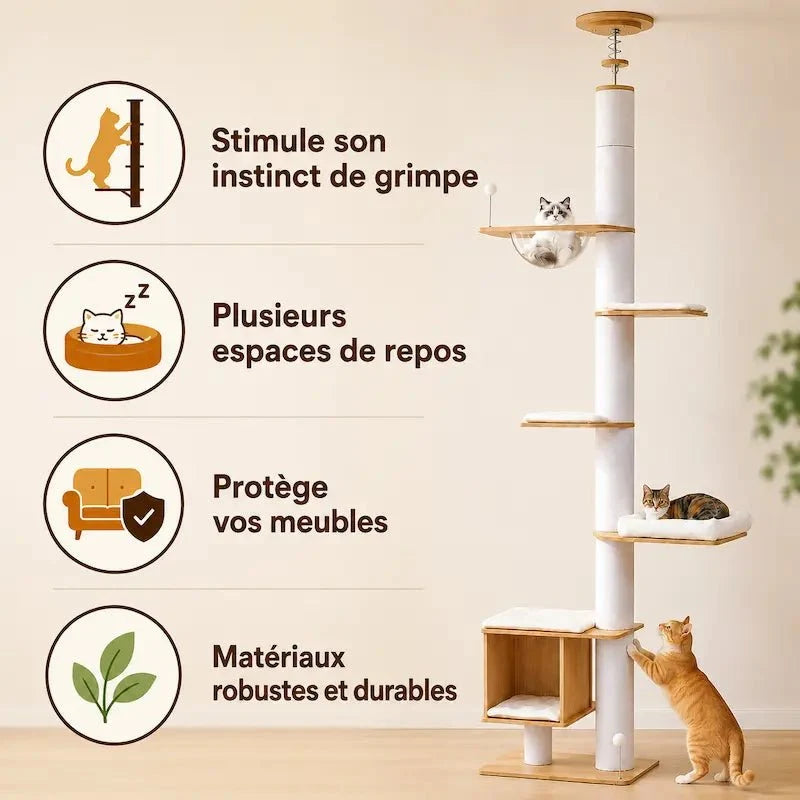 Arbre à chat du sol au plafond - Stable | CatVera