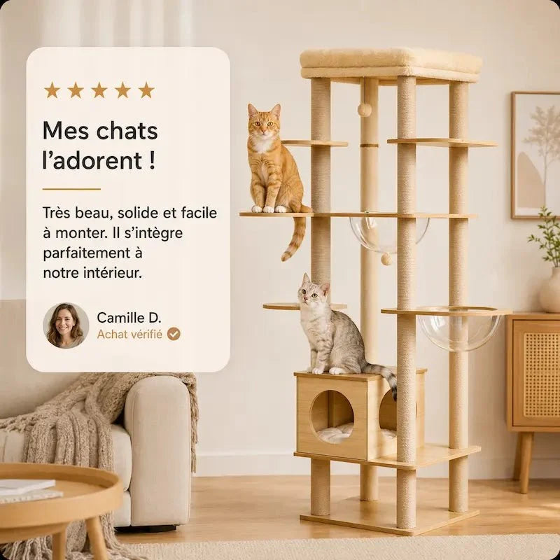 Arbre à chat intérieur bois – Hamac & perchoir | NatureCat