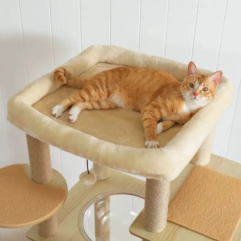 Arbre à chat intérieur bois – Hamac & perchoir | NatureCat