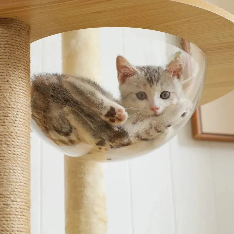 Arbre à chat intérieur bois – Hamac & perchoir | NatureCat
