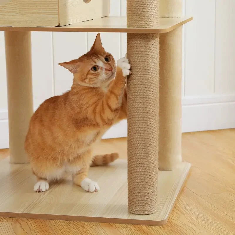 Arbre à chat intérieur bois – Hamac & perchoir | NatureCat
