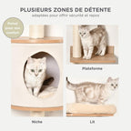 Arbre à Chat Mural 150cm — Parcours Escalade 5 Niveaux & Hamac | Muraï