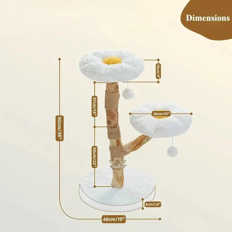 Arbre à chat nuage - Confort aérien | Miaosoft