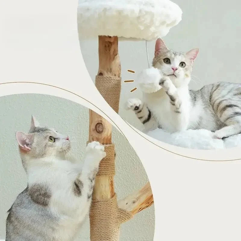 Arbre à chat nuage - Confort aérien | Miaosoft