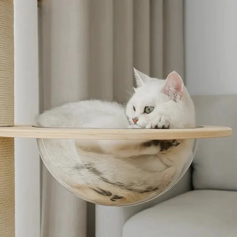 Arbre à chat plafond réglable - Stable sans perçage | Mewparnasse