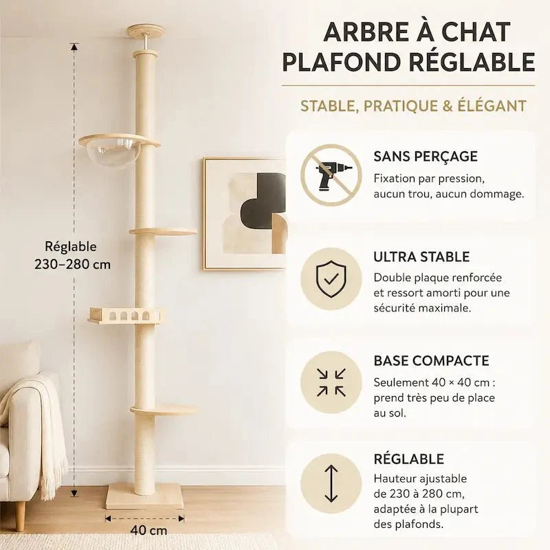 Arbre à chat plafond réglable - Stable sans perçage | Mewparnasse